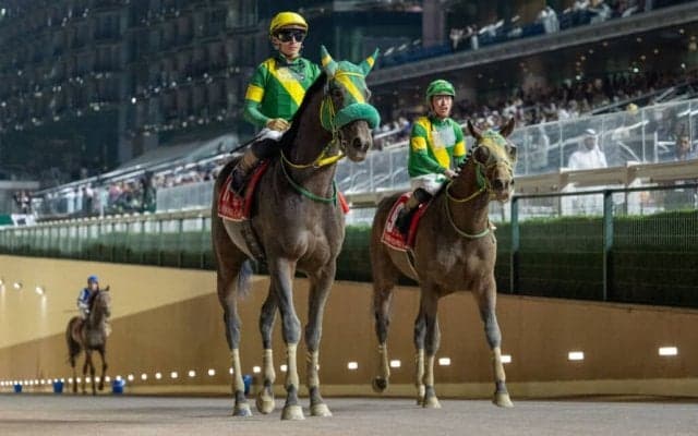 【ドバイワールドカップ】高木師「力は出せた」テソーロ勢は6、7着