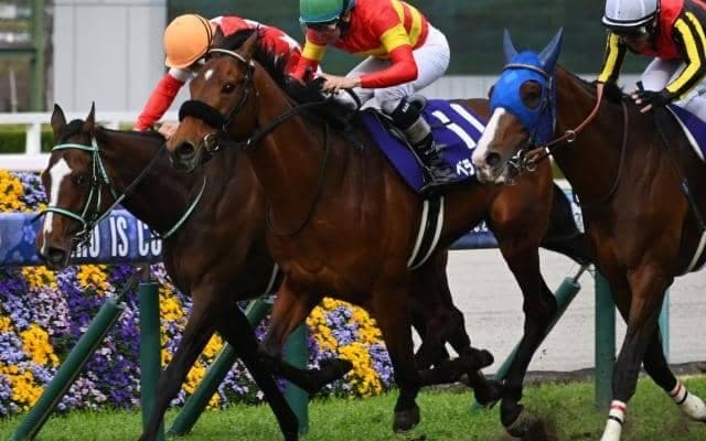 阪神芝はコンディション良好 ロスなく運べる先行勢がベター