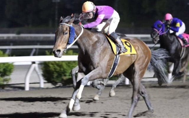 【高知競馬】ルーキー近藤翔月騎手が初勝利