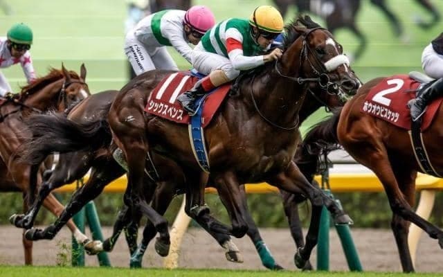 【大阪杯・馬体重】シックスペンスは500kg(-12)、ステレンボッシュは460kg(-4)