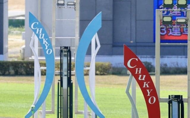 JRA、夏競馬で暑熱対策を拡大…中京・新潟で実施