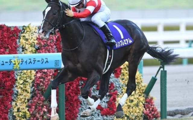 【25年の新種牡馬たち】17年2歳王者のダノンプレミアム 産駒には父が届かなかったクラシック制覇を期待