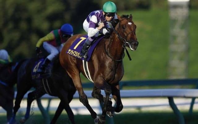 【川崎記念枠順】サンライズジパングは5枠7番、グランブリッジは8枠12番