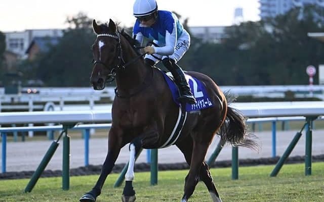 【ニュージーランドT想定騎手】アドマイヤズームは川田将雅騎手、コートアリシアンは菅原明良騎手