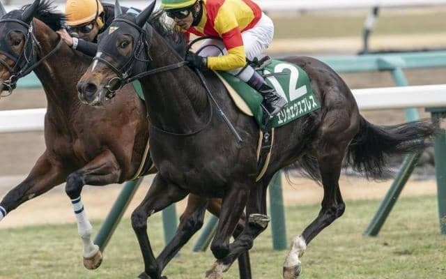 桜花賞で「母の父ガリレオ」のJRA・GI初制覇なるか フェアリーS圧勝の素質馬が挑む