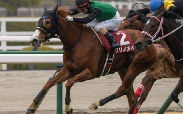 降着の無念から5年 「クリノ軍団」GI初制覇なるか