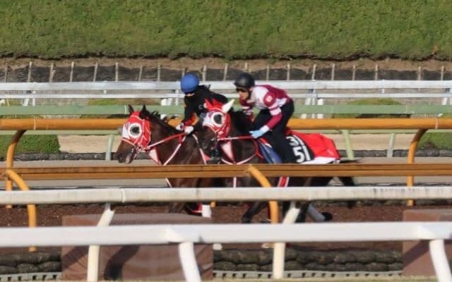 ジュタなど、先週の入厩情報/栗東トレセンニュース