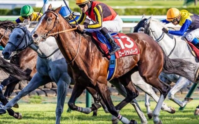 【豪・クイーンエリザベスS枠順】ジオグリフは2番ゲート、ローシャムパークは12番ゲート