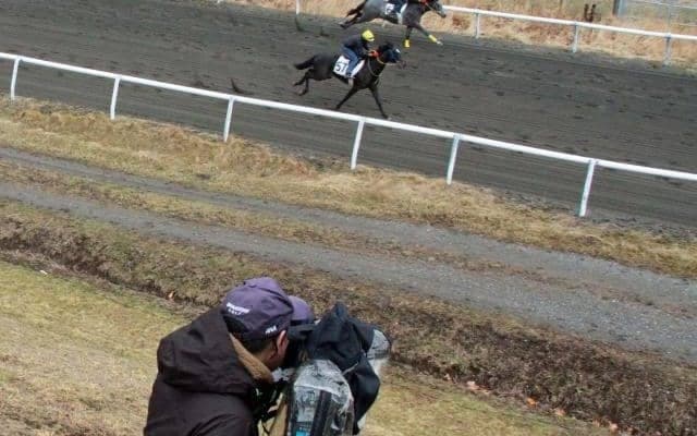 56頭が新冠町で採血と調教VTR撮影 ゴール前1ハロン最速はタワーオブロンドン産駒など2頭