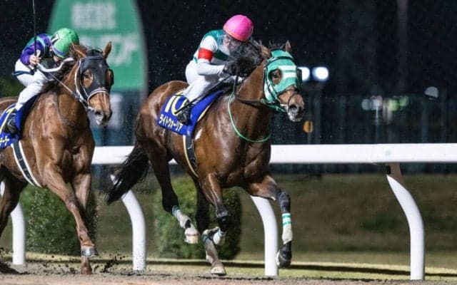 【川崎記念】連覇狙うライトウォーリアは1枠1番へ