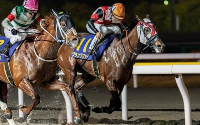 【川崎記念注目馬】13頭中11頭が重賞ウイナー 豪華メンバーで争われる大一番