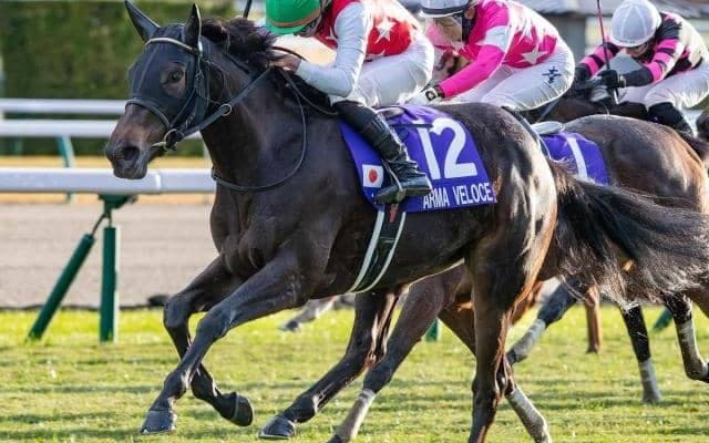 戴冠なら史上7頭目 2歳女王が直行ローテで桜花賞に挑む