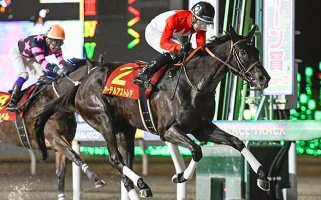 重賞3勝のアーテルアストレアが登録抹消 今後は繁殖入りへ