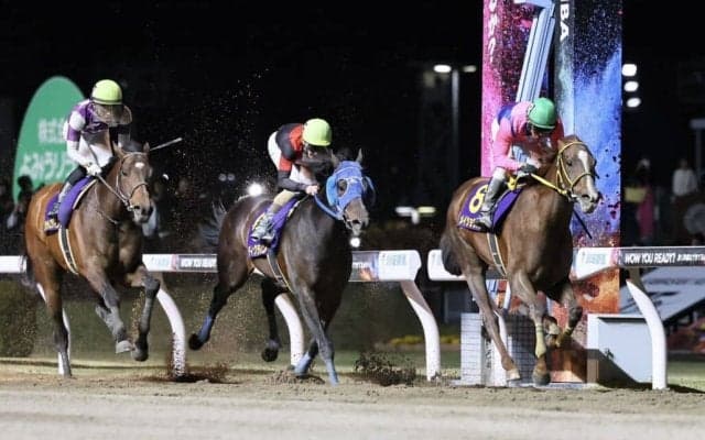 【川崎記念】メイショウハリオがひと捲り！交流G1・4勝目