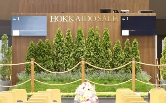 トレーニングセール上場予定馬が採血と調教VTR撮影を実施 リアルスティール産駒など2頭が最速タイム