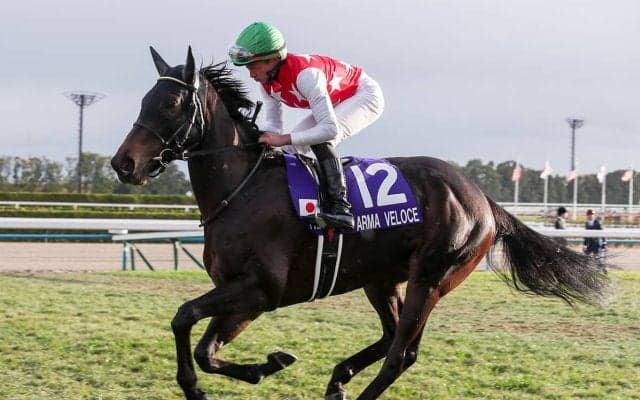 安藤勝己が選定した「３歳牝馬番付」　ハイレベルな世代の女王候補は？