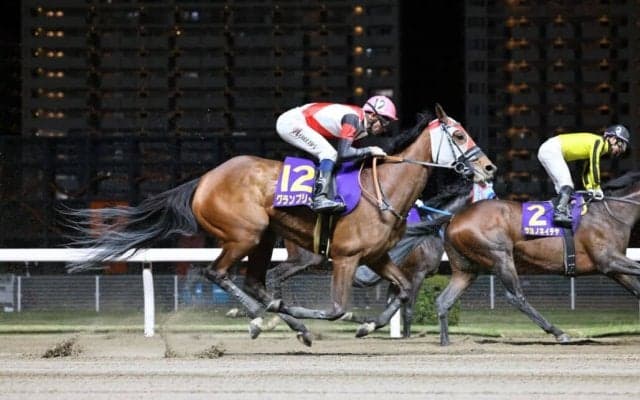 【川崎記念】モレイラ「スタートが全て」レース後ジョッキーコメント