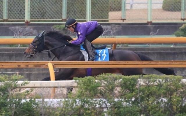 ジュンブロッサム、マイラーズC2週前追い切り速報/栗東トレセンニュース