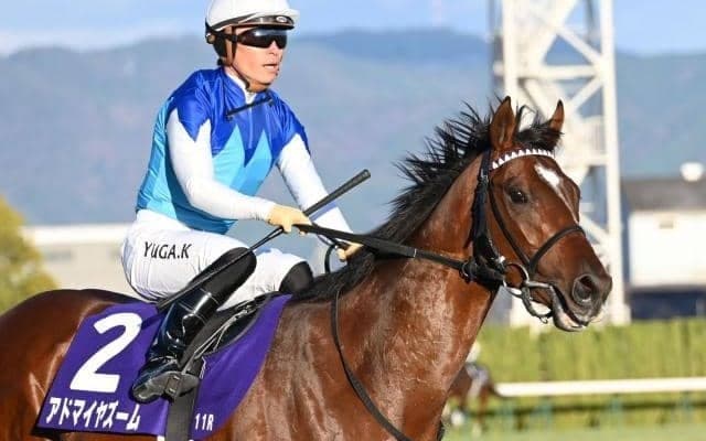 【ニュージーランドT出走馬・騎手確定】アドマイヤズーム＆川田将雅騎手、コートアリシアン＆菅原明良騎手など14頭