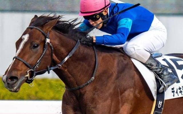 ディープインパクトに並ぶ記録更新なるか 12戦連続1番人気の注目馬が土曜阪神12Rに