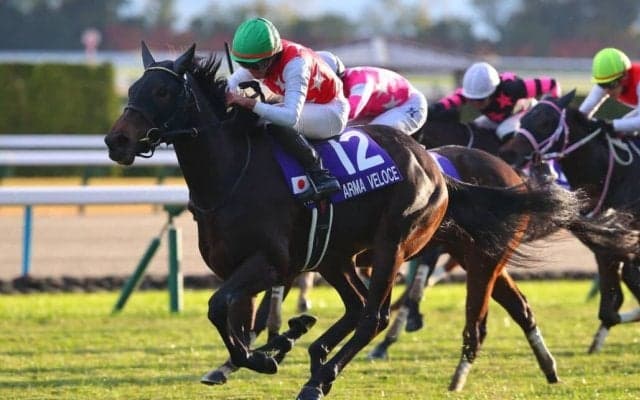 【桜花賞】アルマヴェローチェは500kg…出走馬の調教後の馬体重