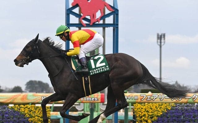 【競馬予想】桜花賞で頂点に立つ可能性が最も高いのは？　識者選定「３歳牝馬ランキング」