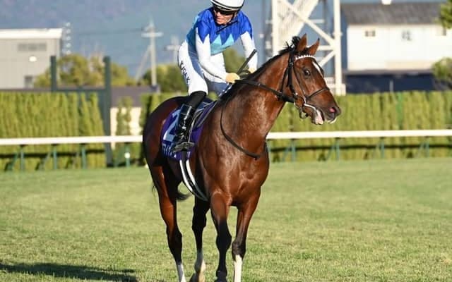 【ニュージーランドT枠順確定】アドマイヤズームは5枠7番、コートアリシアンは2枠2番