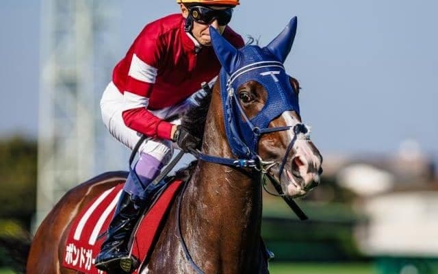 【阪神牝馬S枠順確定】ボンドガールは6枠10番、スウィープフィートは5枠7番