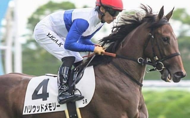 G1・2勝を挙げた名スプリンターの全妹 待望の初勝利なるか