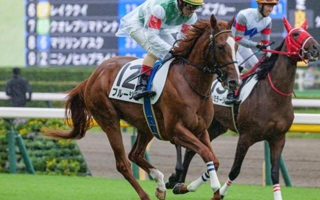 マイルCS覇者ナミュールの半妹 待望の初勝利なるか