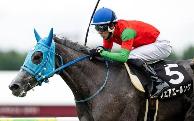 【福島牝馬S想定馬・騎手】フェアエールング、アリスヴェリテなど18頭