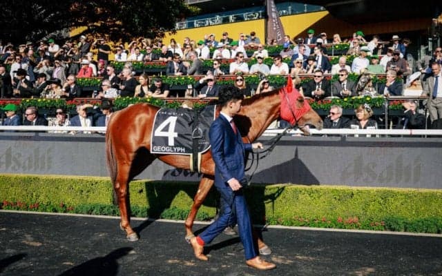 ジオグリフ＆ローシャムパーク豪G1へ好感触