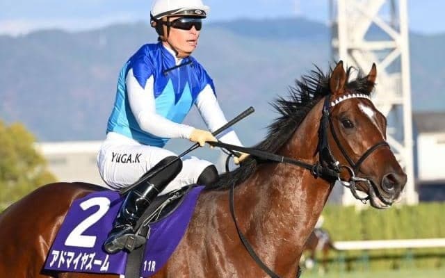 【今日の注目ポイント】中山でニュージーランドTと阪神で阪神牝馬S