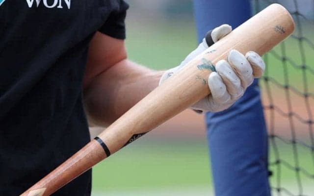 打てない選手はすぐには打てない!? NPBでも使用容認で話題沸騰の「魚雷バット」に潜む“危険性”「プロを打つのは単純じゃない」