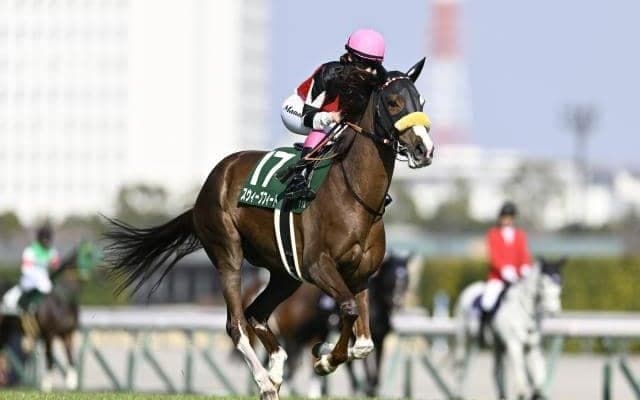 【阪神牝馬S予想】ヴィクトリアMへの最重要ステップ 春のマイル女王に向け名乗り上げる馬は？