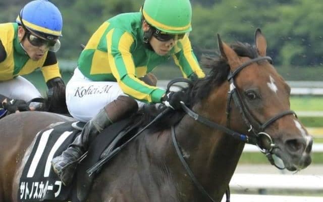 きょうだい3頭は2億超で取引 ディープインパクト産駒の良血馬が土曜阪神9Rに出走