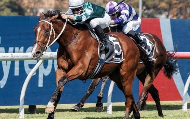 【クイーンエリザベスS結果】日本勢は着外 ヴィアシスティーナが完勝でG1・9勝目