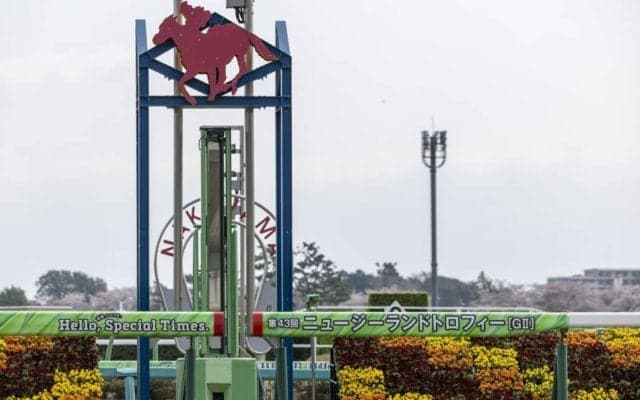 【ニュージーランドT】イミグラントソングが差し切る…アドマイヤズームは2着