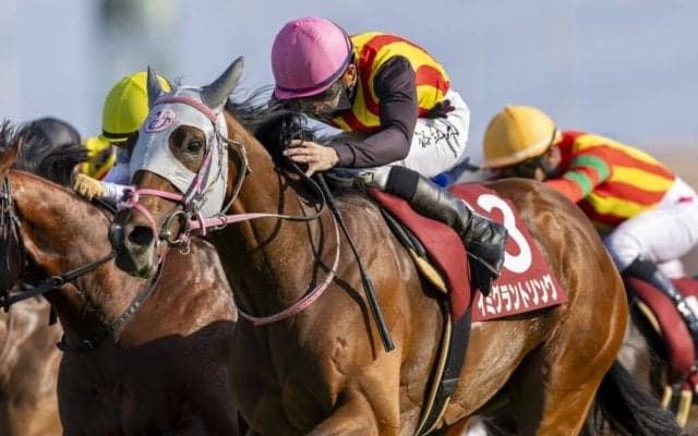 【ニュージーランドT】石川「中山のコース形態合う馬」イミグラントソングが重賞初制覇