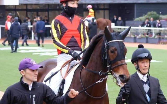 クラシックウイナー2頭の半妹 距離短縮で初勝利なるか