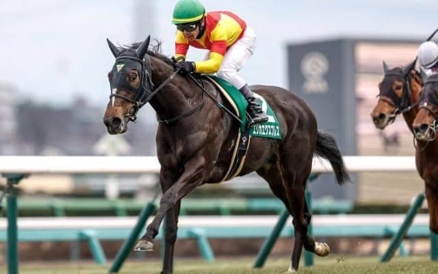 【桜花賞予想】狙うならば今年も2番人気？ 過去データで探るGI桜花賞