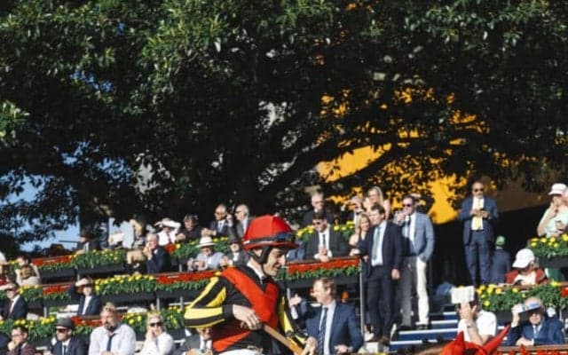 【豪クイーンエリザベスS】ルメール「加速することが出来なかった」ローシャムパークは6着