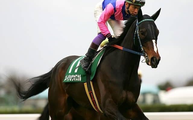 皐月賞の裏で波乱は生まれるのか 荒れ模様の福島牝馬S