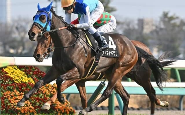 【福島牝馬S見どころ】堅実無比のアドマイヤマツリを狙う