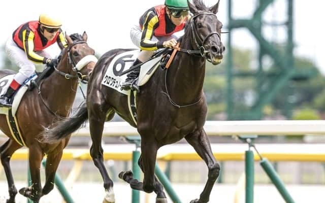 【皐月賞見どころ】クロワデュノールが無敗での一冠目を狙う