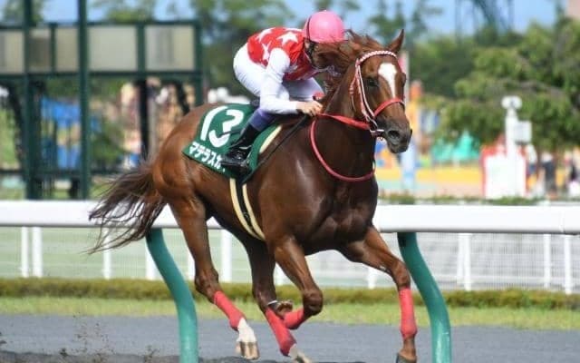 【25年の新種牡馬たち】昨年6月に急逝したマテラスカイ 残された3世代の中から活躍馬は現れるか