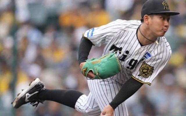 藤川阪神の＂秘蔵っ子＂が先発挑戦へ　注目の「ミスターK」24歳左腕に期待感「いつ出ても安定している」