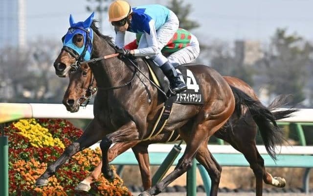 【福島牝馬S想定騎手】アドマイヤマツリは田辺裕信騎手、ホーエリートは原優介騎手