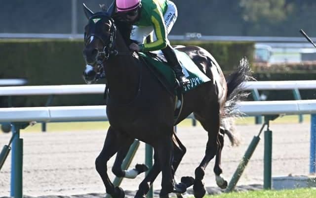 【AI予想・皐月賞】前走の着順や人気に顕著な傾向あり！ 世代屈指の能力を示す人工知能の本命候補とは