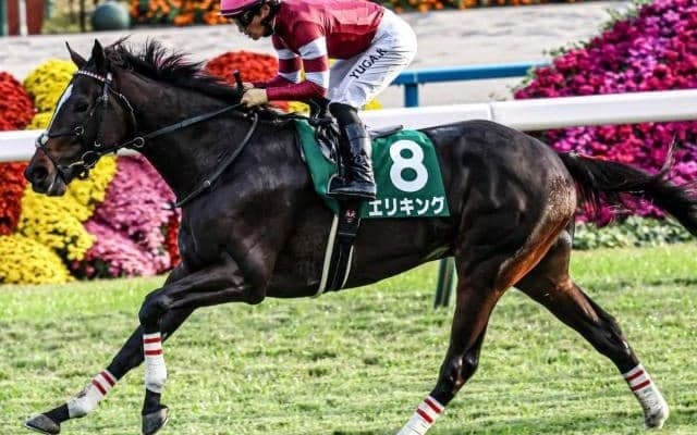 「ウマ娘」藤田晋オーナーがJRA・GI初制覇なるか 皐月賞に無傷の3連勝馬で挑む